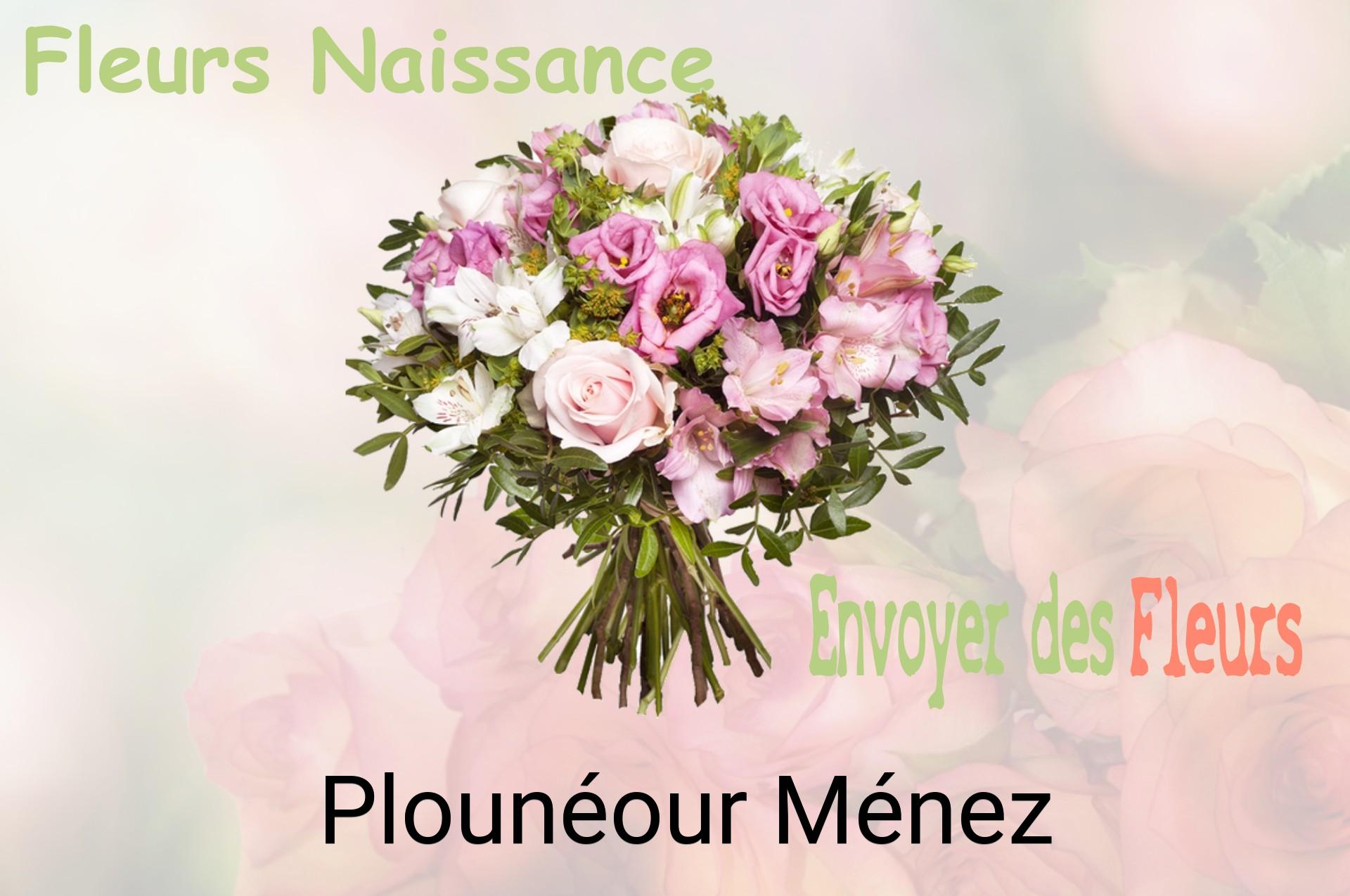 Bouquet de fleurs de naissance livré à Plounéour-Ménez